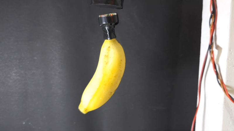 Levitating Banana Is An Excellent Conversation Starter