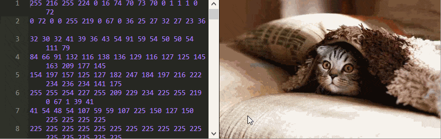 Parametric Press Unravels The JPEG Format