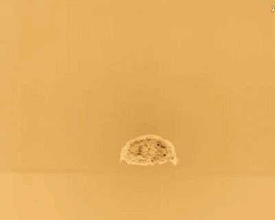 TrinityDetonation1945GIF.gif?w=400