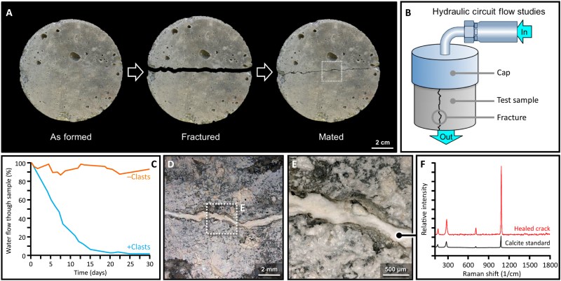 After casting, the Roman-inspired hot-mixed concrete samples were mechanically fractured and then re-mated (with a gap of 0.5 ± 0.1 mm) and preconditioned for the crack-healing studies. (Credit: Seymour et al., 2023)