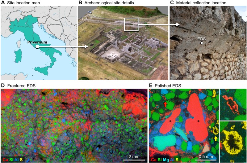  Collection location and distinctive features of the ancient Roman concrete samples used in this study.The test samples came from the archaeological site of Privernum, near Rome, Italy (A), and shown as a photogrammetry-based three-dimensional reconstruction (B). The architectural mortar samples were collected from the bordering concrete city wall (C). Large-area EDS mapping of a fracture surface (D) reveals the calcium-rich (red), aluminum-rich (blue), silicon-rich (green), and sulfur-rich (yellow) regions of the mortar. Further imaging of polished cross-sections (E) shows aggregate-scale relict lime clasts within the mortar (the large red features denoted by asterisks). The colored arrows in (E) denote the pore-bordering rings visible in the EDS data that are rich in calcium (red) or sulfur (yellow), which are enlarged at right to show additional detail. Photo credits (B and C): Roberto Scalesse and Gianfranco Quaranta, Associazione AREA3, Italy.