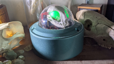 A cat skull enclosed in a domed security camera enclosure with green LEDs illuminating the eye sockets, sitting on a table with other skulls and rocks.