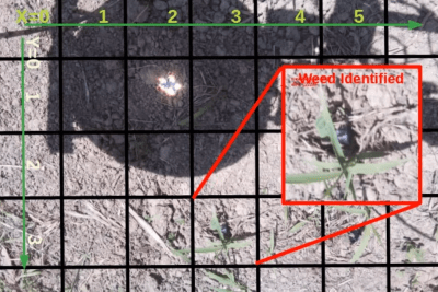 Machine vision software identifying a weed in a picture of garden soil