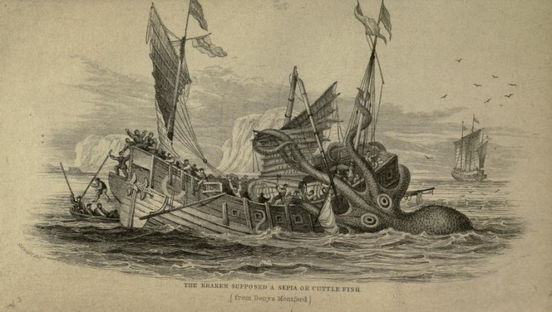 Scene of a ship being ensnared and damaged by a "colossal octopus" (according to Denys-Montfort, experienced by French seamen off Angola's coast), but relabeled as a kraken here in the engraving in Robert Hamilton MD's book. Sepia in former usage included octopi, not just cuttlefish.