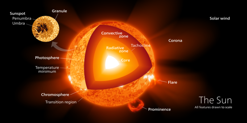 Diagram of the Sun. (Credit: Kelvinsong)