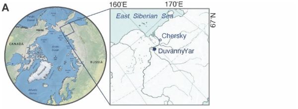 Location of the Duvanny Yar outcrop on the Kolyma River, northeastern Siberia. (Credit: Anastasia Shatilovich et al., 2023)