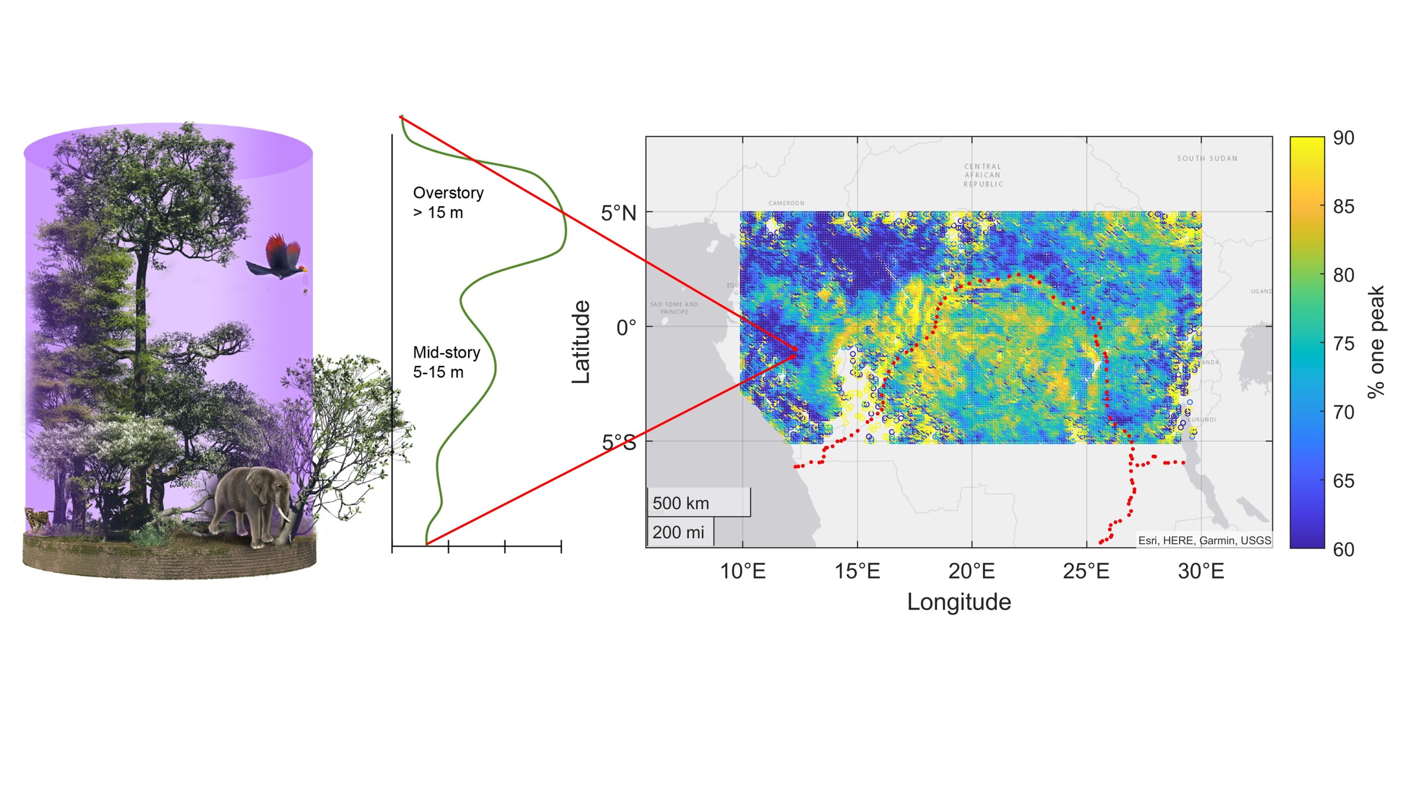 Exploring Tropical Rainforest Stratification Using Space-Based LiDAR