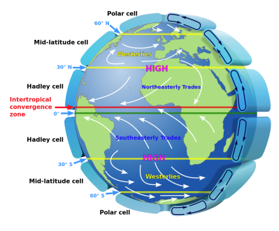 Global circulation of Earth's atmosphere displaying Hadley cell, Ferrell cell and polar cell along with the trade winds. (Author: Kaidor, NASA)