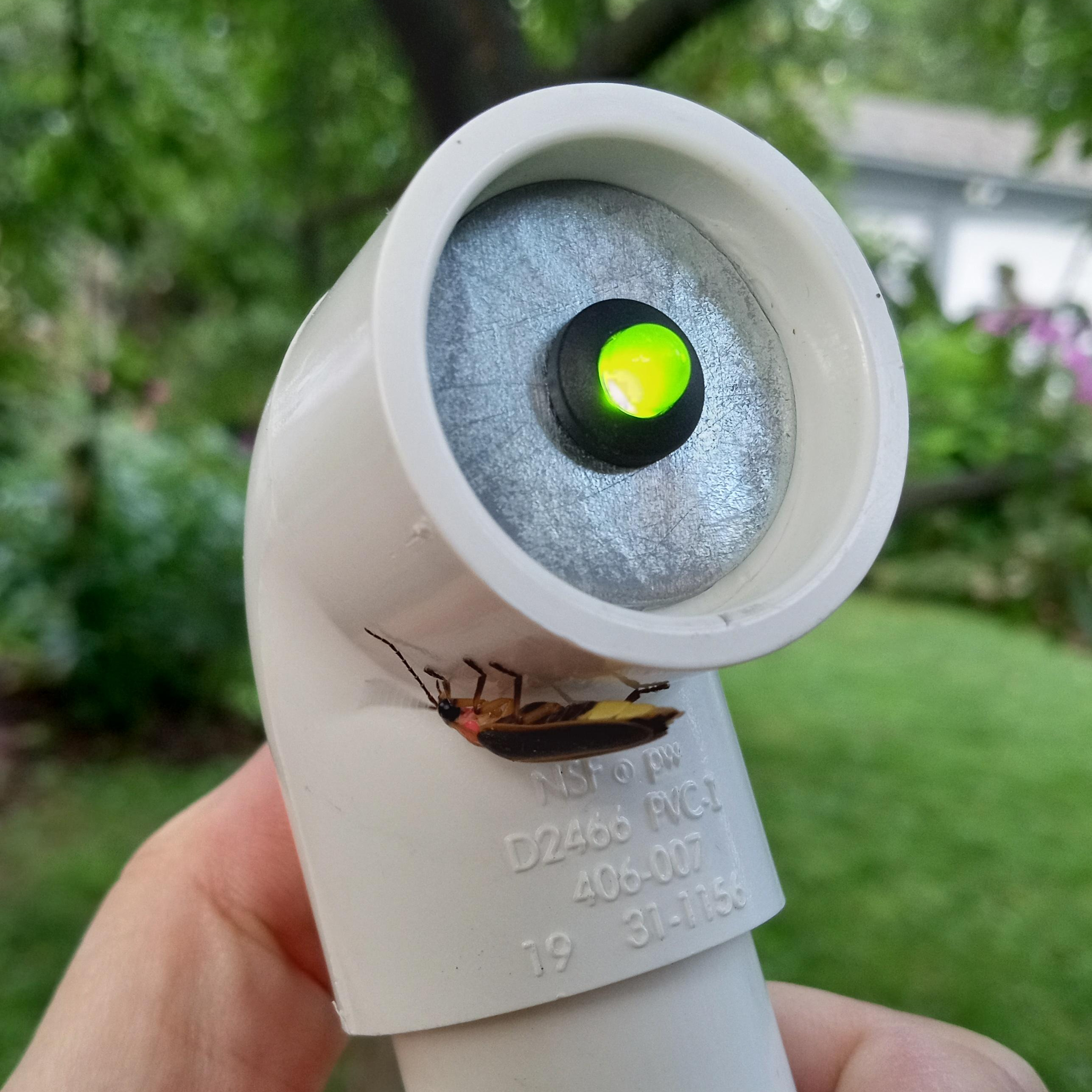 Got Fireflies? Try Talking To Them With A Green LED | Hackaday