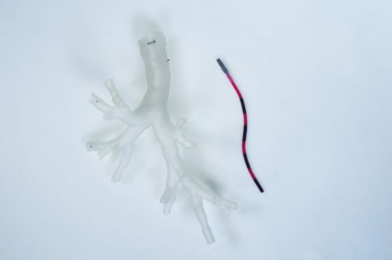 Close-up of a magnetic tentacle robot next to a phantom bronchiole (Credit: University of Leeds)