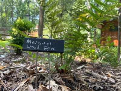 traditional plant marker