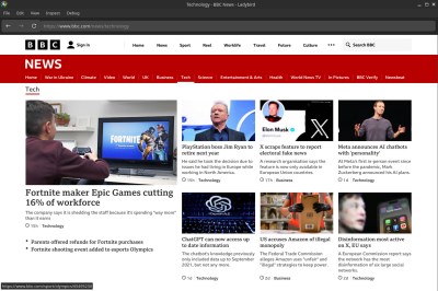 The BBC News website in the Ladybird browser