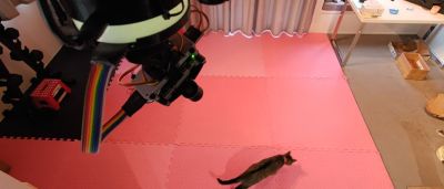 An automatic laser turret playing with a cat.