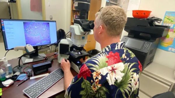 Dr. Niels Olson uses the Augmented Reality Microscope. (Credit: US Department of Defense)