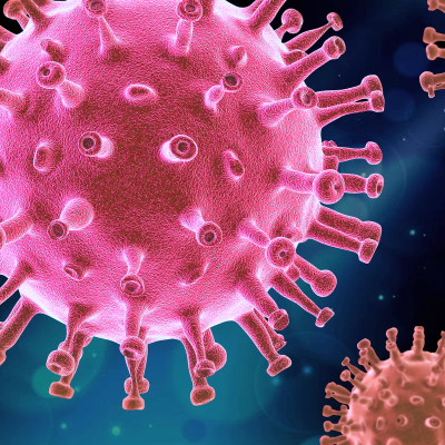 Image of a coronavirus