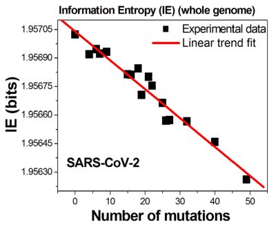 Relationship between information entropy and number of mutations in the SARS-CoV-2 genome, according to Melvin M. Vopson (2022, Applied Sciences)