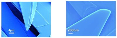 Molybdenene whiskers. (Credit: Sahu et al., 2023)