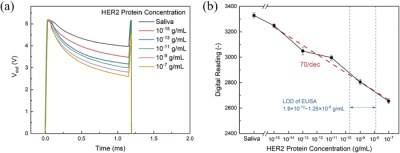 (a) Output drain voltage waveform for pure artificial saliva and HER2 protein diluted in saliva from 10−7 to 10−15 g/ml. (b) Output digital reading from PCB under different HER2 protein concentrations. (Credit: Wan et al., 2024)