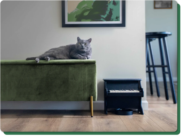 A cat sits on a dark green mid-century modern bench next to a cat-sized black piano. A black bowl sits beneath the piano to catch food. An abstract green, blue, and tan picture in a black frame is on the wall above the cat and a black bar stool can be seen around the corner. It looks like the sort of photo you'd see on Instagram or in an interior design magazine.