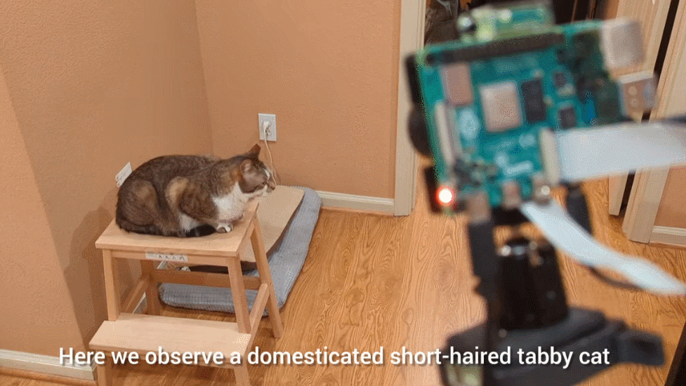 Detecting a cat with a raspberry pi and camera is one thing, but [Yoko Li]’s AI Raspberry Pi Cat Detection brings things entirely to another lev