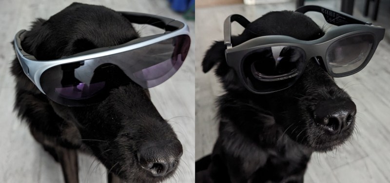Two pictures of the same black dog, wearing two separate pairs of the AR glasses reviewed in these two articles