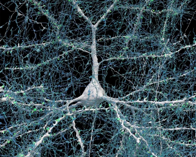 Mapping The Human Brain And Where This May Lead Us | Hackaday