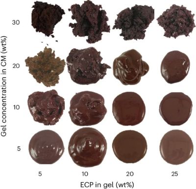Images of whole-fruit chocolate formulations after kneading at 31 °C and subsequent heating to 50 °C. The ECP concentration in the sweetening gel and the added gel concentrations into the CM are shown on the x and y axis, respectively. (Credit: Kim Mishra et al., Nature Food, 2024)