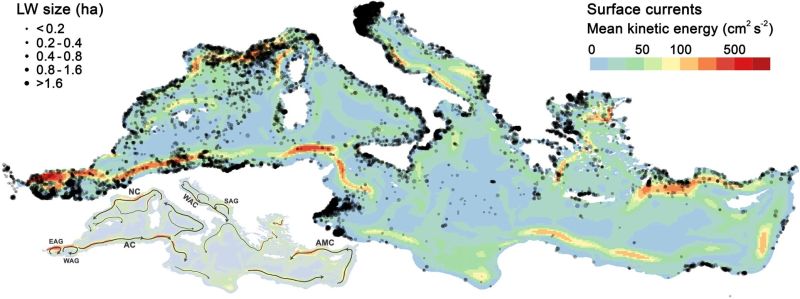Litter-windrow detections in the Mediterranean Sea. (Credit: ESA)