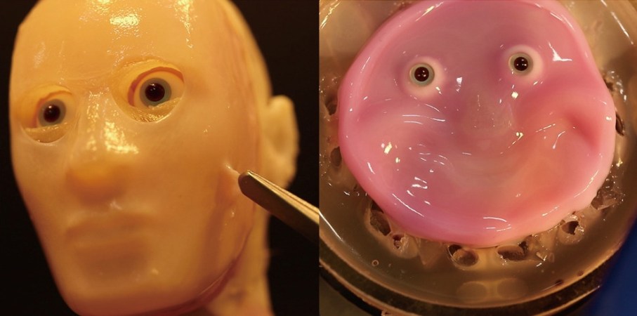 On the left, a transluscent yellowy-tan android head with eyes set behind holes in the face. On the right, a bright pink circle with small green eyes. It is manipulated into the image of a smiling face via its topography.
