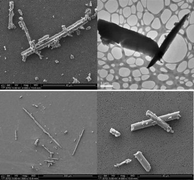 Example SEM and TEM images of the released particles following the rupture of CFRP cables in the tensile strength test. (Credit: Jing Wang et al, Journal of Nanobiotechnology, 2017)