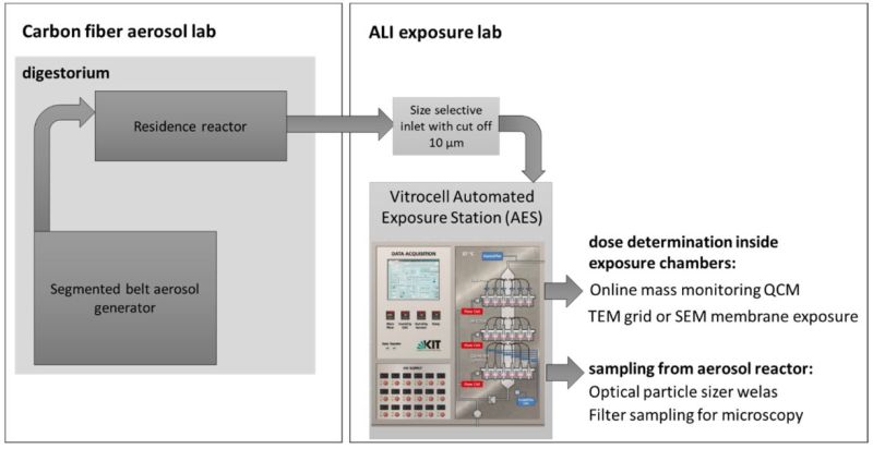 Schematic representation of the setup for ALI exposure studies. (Credit: Friesen et al., Int J Mol Sci, 2023)