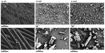 SEM images of the PAN-based CF. (Credit: Friesen, Int J Mol Sci, 2023)