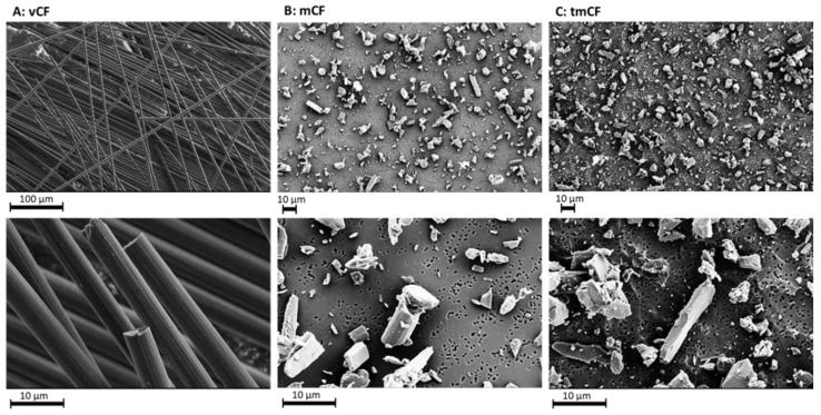 SEM images of the PAN-based CF. (Credit: Friesen, Int J Mol Sci, 2023)