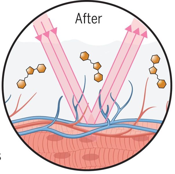 hackaday.com - Maya Posch - Rendering Skin Transparent Using The Food Dye Tartrazine