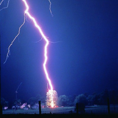 Lightning striking a tree. Poor tree.