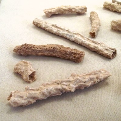 An assortment of sand fulgurites.