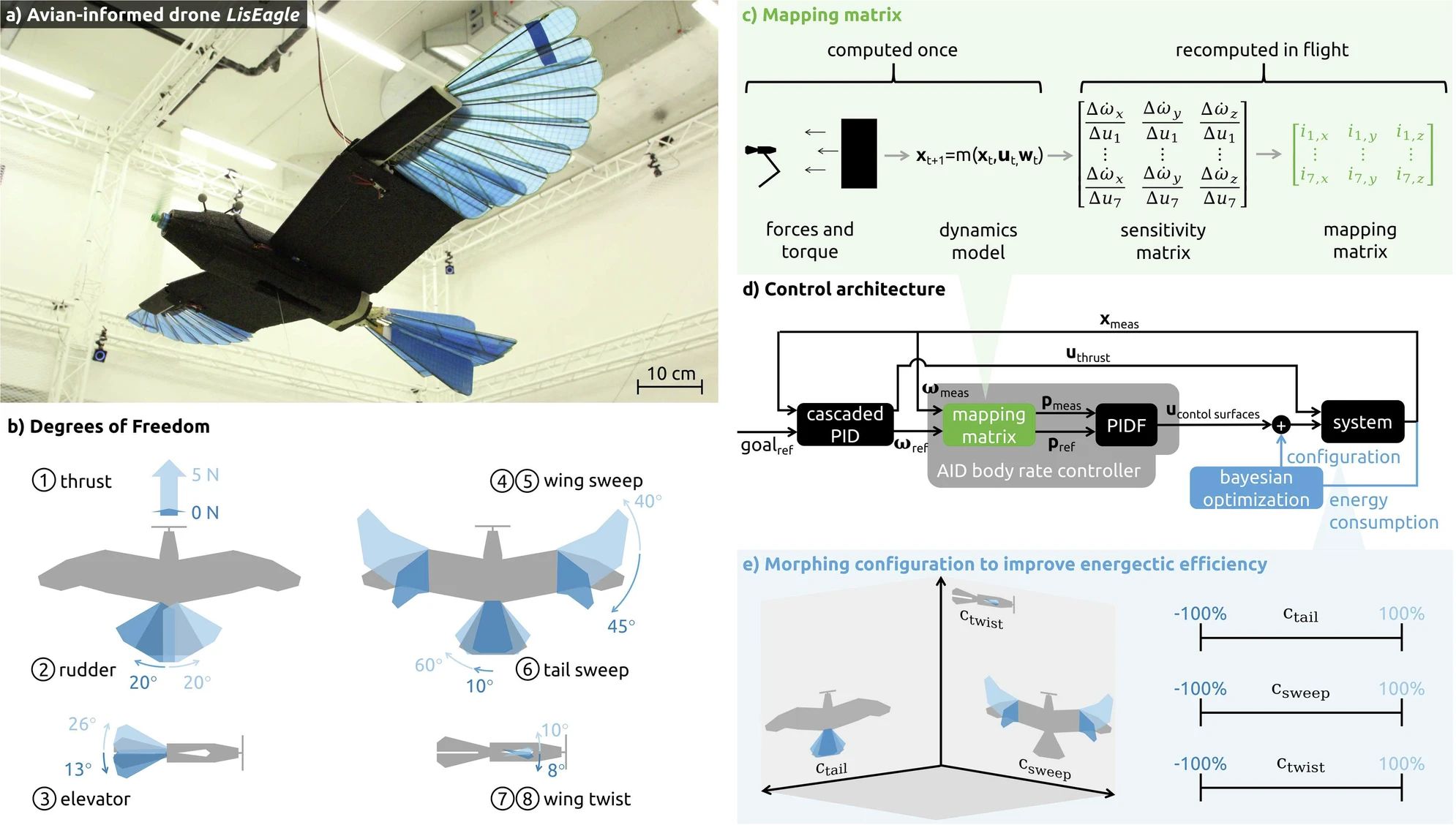 Avian-Inspired Drones: How Studying Birds of Prey Brings More Efficient Drones Closer