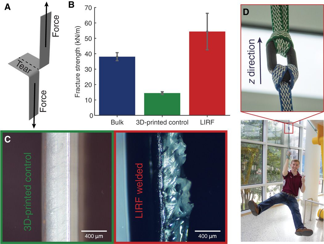 Using Microwave Heating to Locally Anneal CNT-Coated FDM Prints