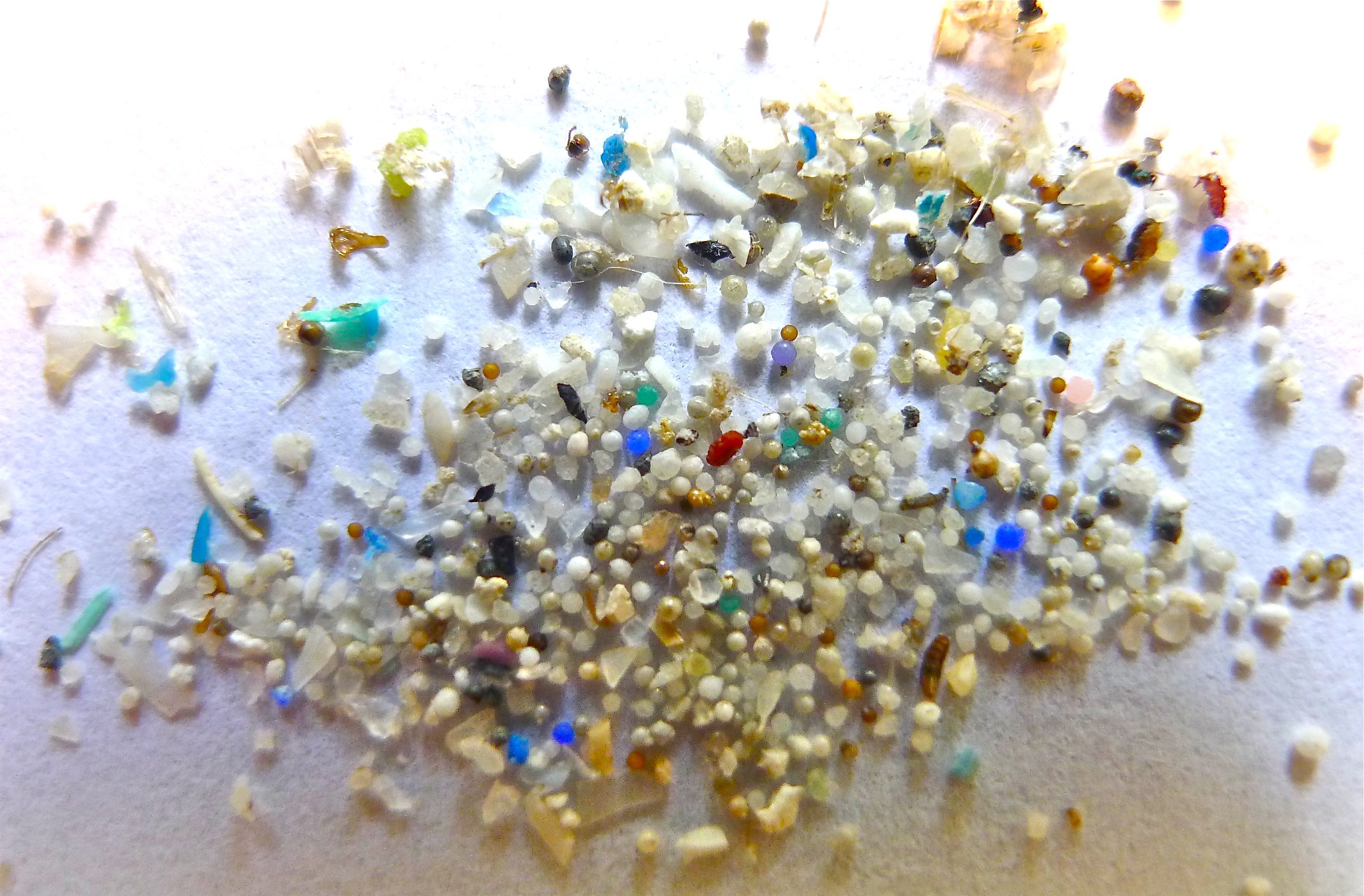 How Do We Deal With Microplastics In The Ocean?