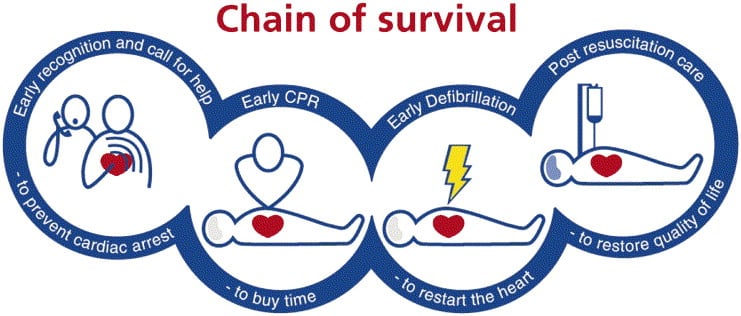 Chain of survival in case of cardiac arrest. (Credit: European Resuscitation Council)