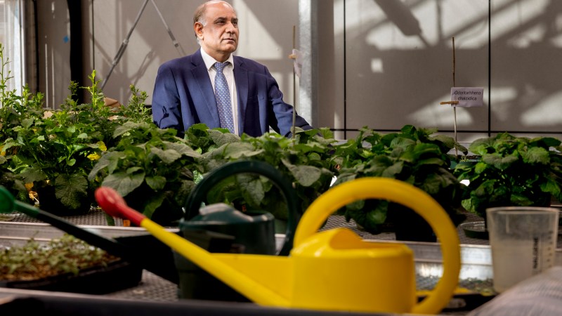 A balding man in a blue suit and tie sits behind rows of plants on tables. A bright yellow watering can is close to the camera and out of focus.