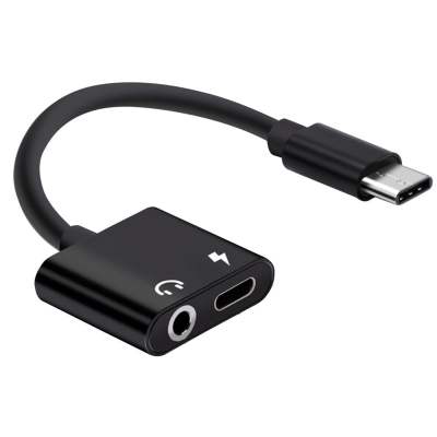 Generic USB-C to audio jack and USB-C charging adapter.