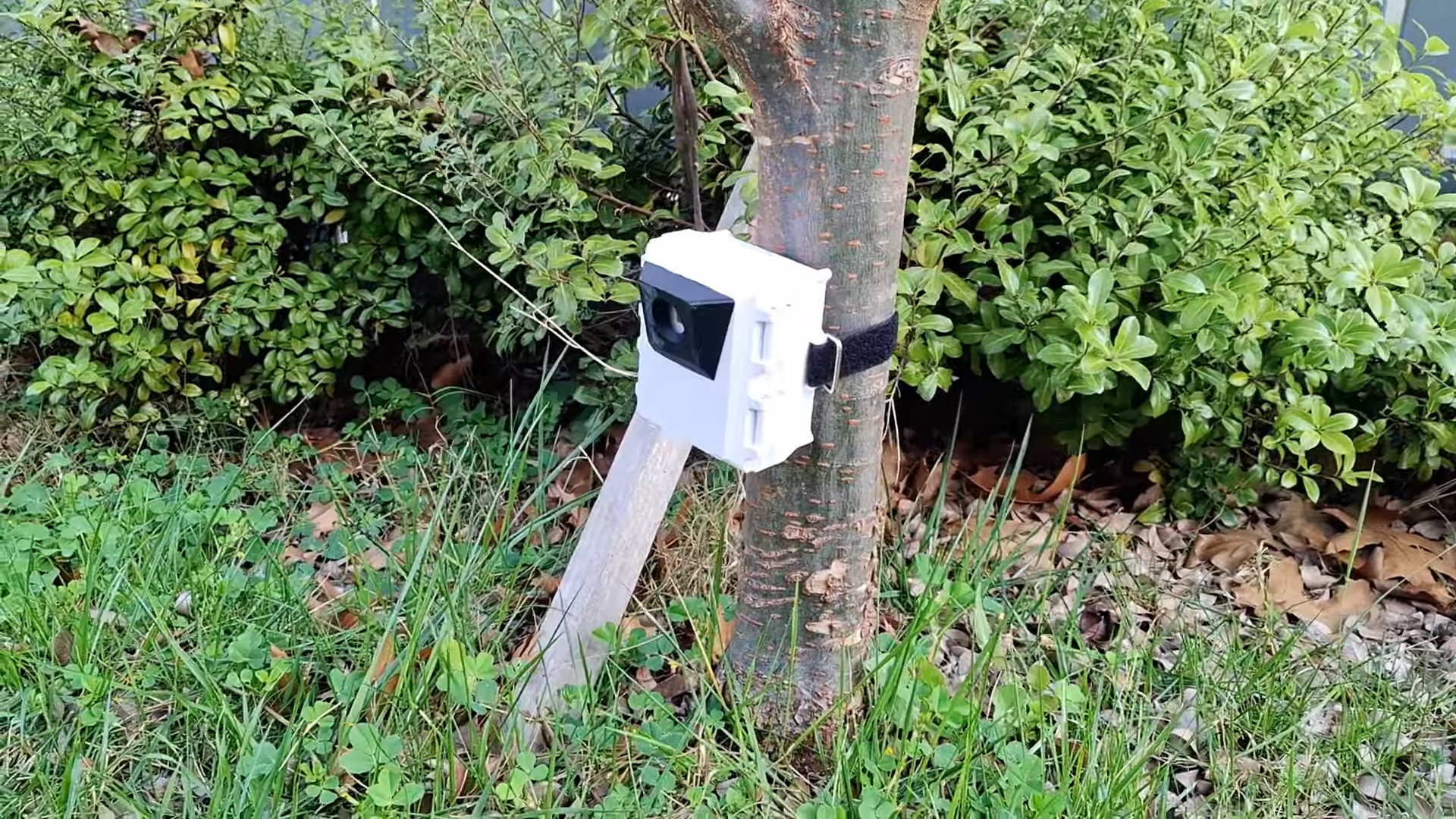 A Trail Camera Built With Raspberry Pi - Mysterious Files PH