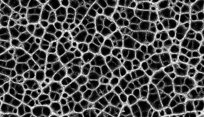 Cool looking picture created with lots of particles, but black and white