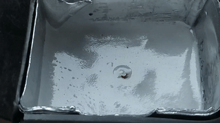 The trap in action. (Credit: MisterHW)