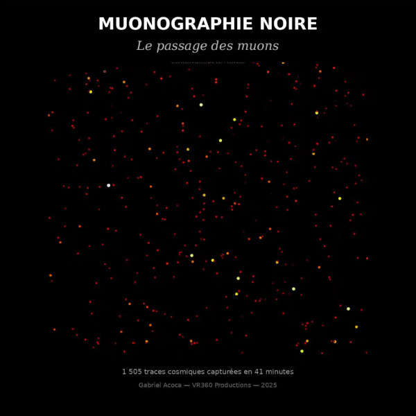 Photographing Cosmic Rays with a Consumer Camera