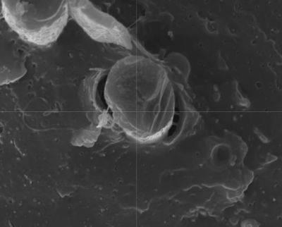 Carbon fiber in PLA after FDM printing, showing clear voids. (Credit: I built a thing, YouTube)