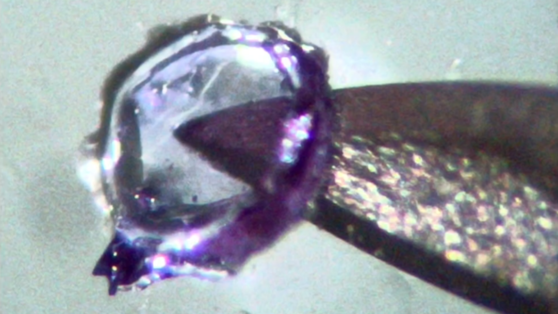 The Latest From RepRapMicron – Nail Gel, First Objects, And More