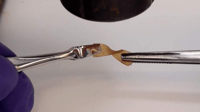 A small piece of brown plastic is held in two pairs of tweezers under a heat gun, and is being twisted.