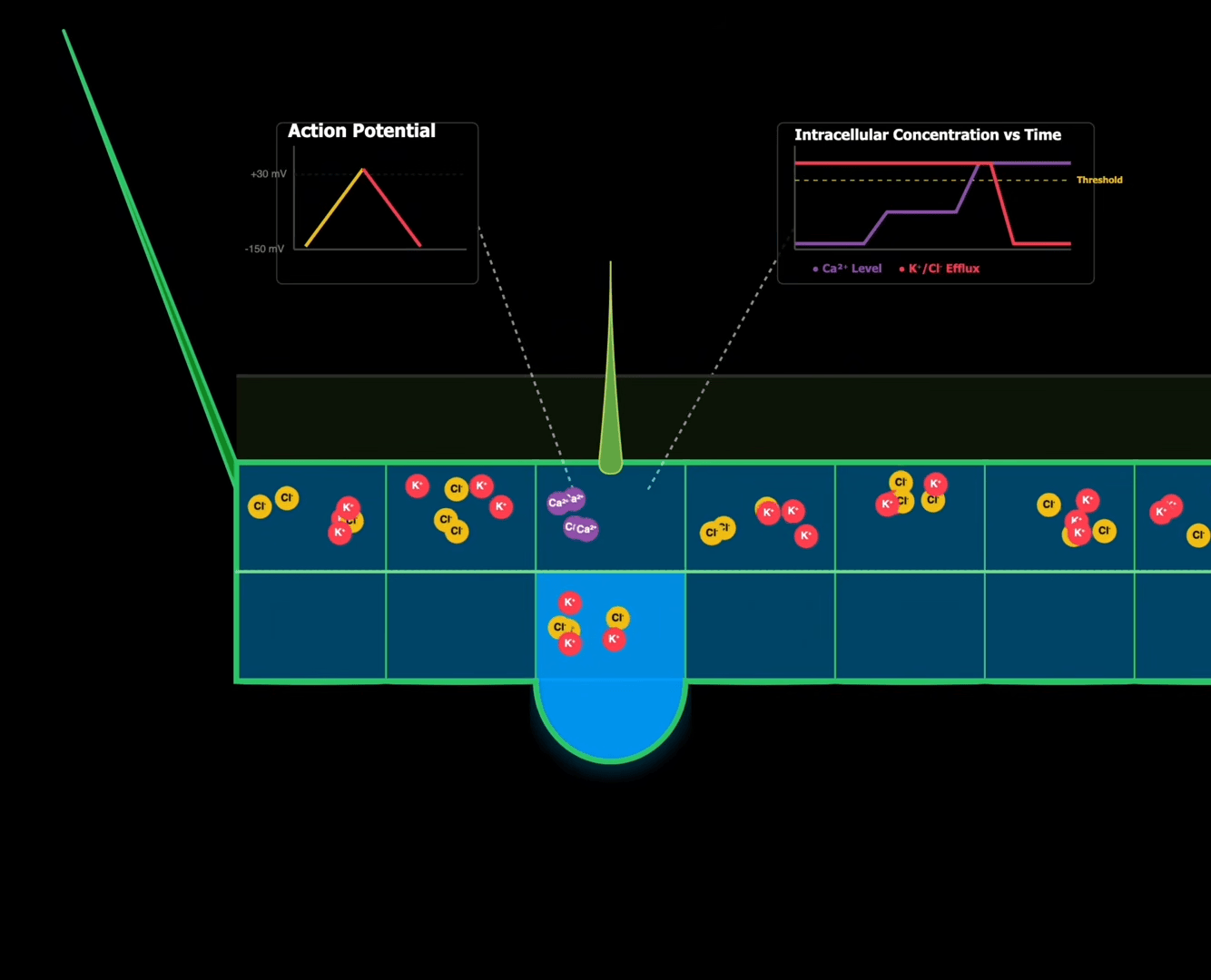 Venus Flytrap Takes Ride Through A Particle Accelerator | Hackaday